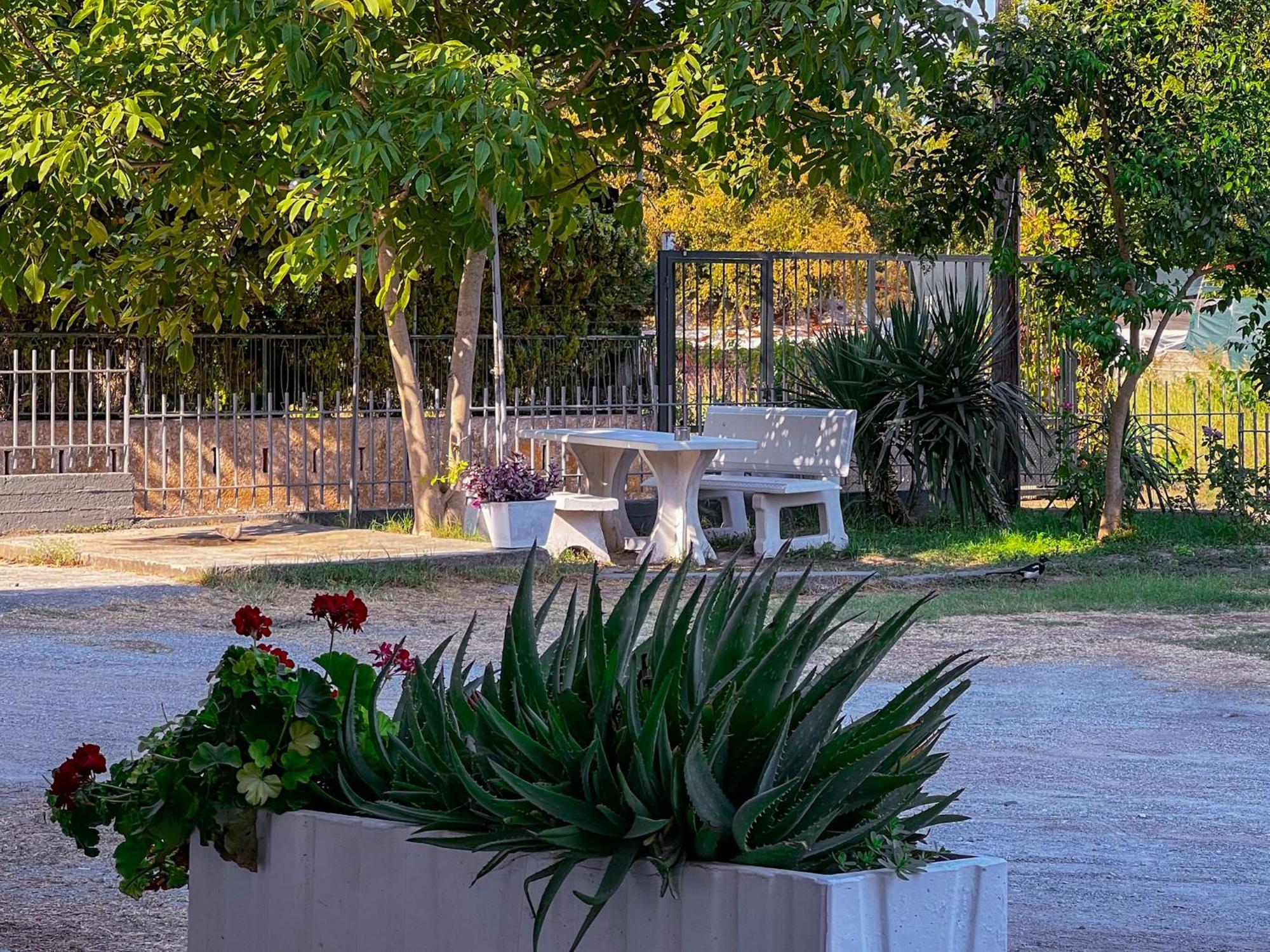 Prado Apartment Hotel Limín Litochórou エクステリア 写真